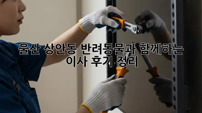 울산 상안동 반려동물과 함께하는 이사 후기 정리